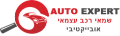 שמאי רכב עצמאי